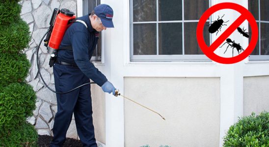 Havsa Fare İlaçlama böcek ilaçlama ve haşere kontrolü — ilaclama-tr.com